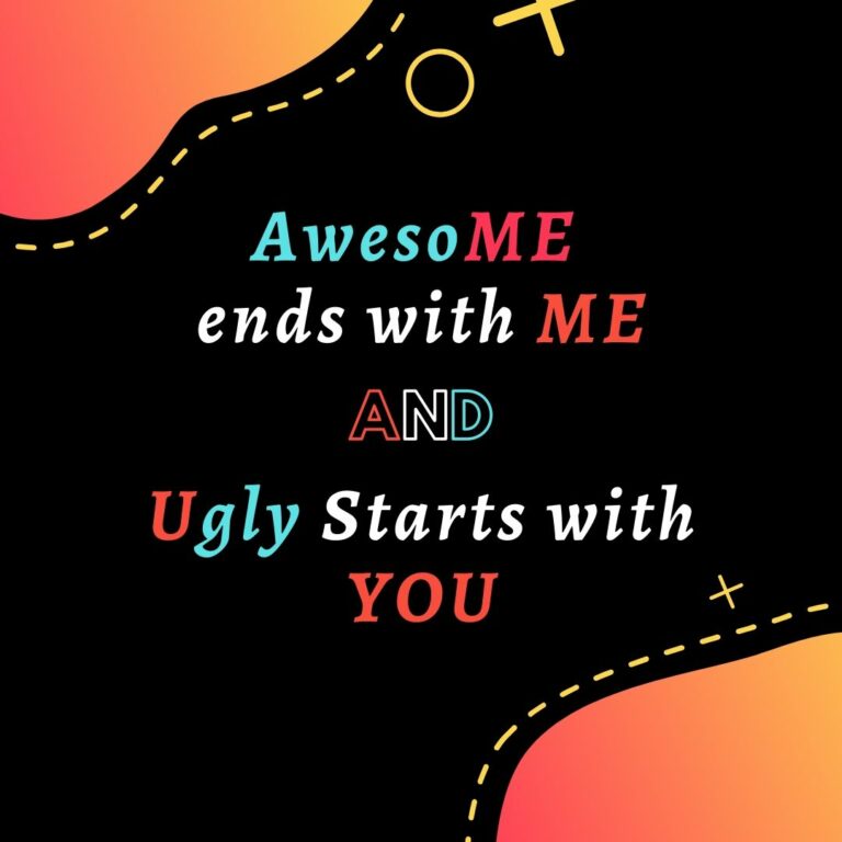 Awesome ends with Me and Ugly starts with You Funny WhatsApp Dp Image full HD free download.