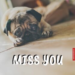 Cute miss you images