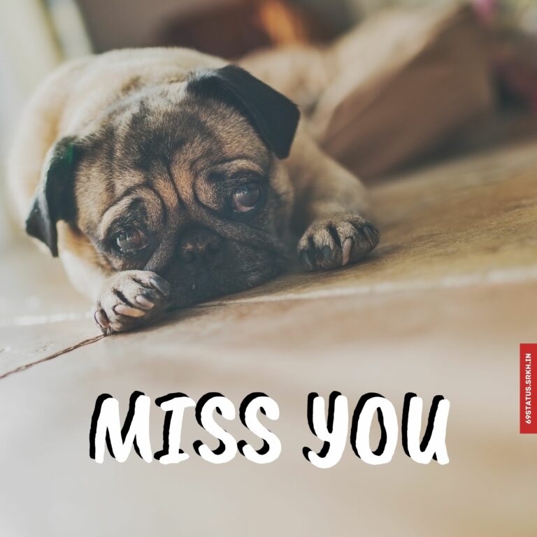Cute miss you images full HD free download.