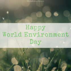 Free Images World Environment Day