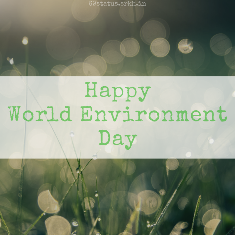 Free Images World Environment Day full HD free download.