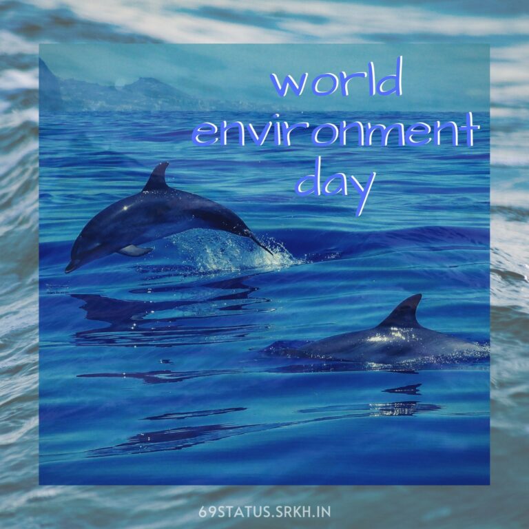 Free Images World Environment Day Dolphins full HD free download.