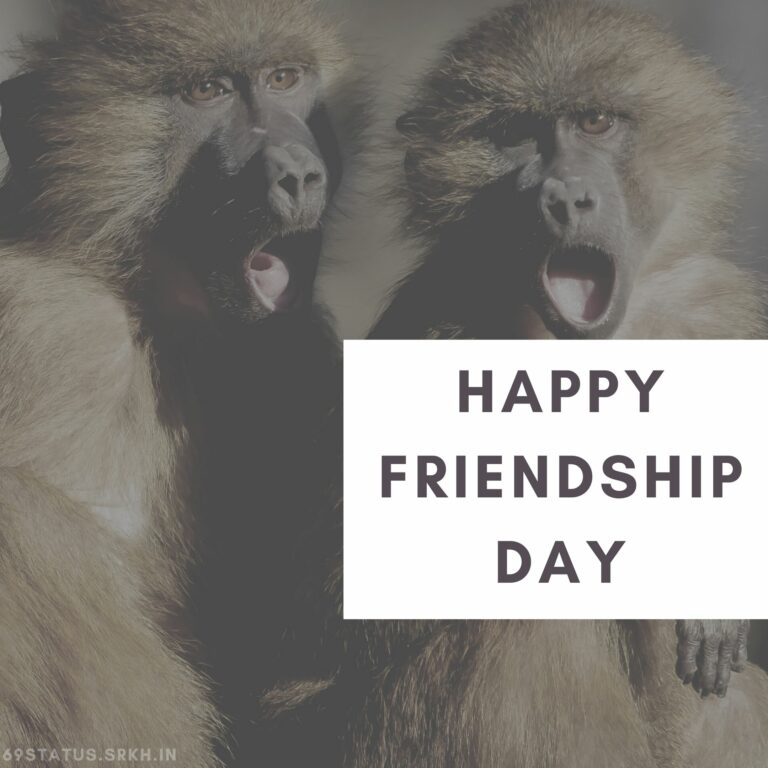 Friendship Day HD Images full HD free download.