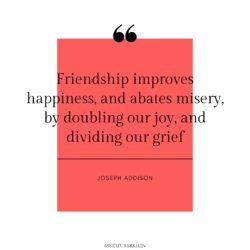 Friendship Day Images Quotes HD