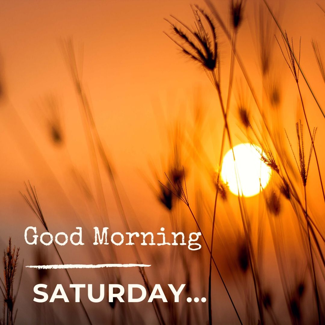 Good Morning Saturday Image Hd 1 Download free - Images SRkh