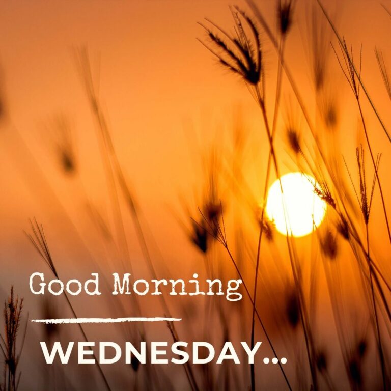 Good Morning Wednesday Image Hd 1 full HD free download.