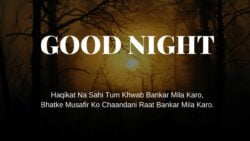 Good Night Image Hindi Shayari