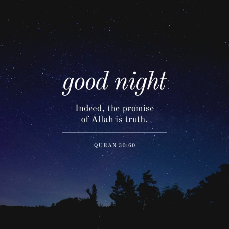 Good Night Indeed The Promise of Allah I s Truth full HD free download.