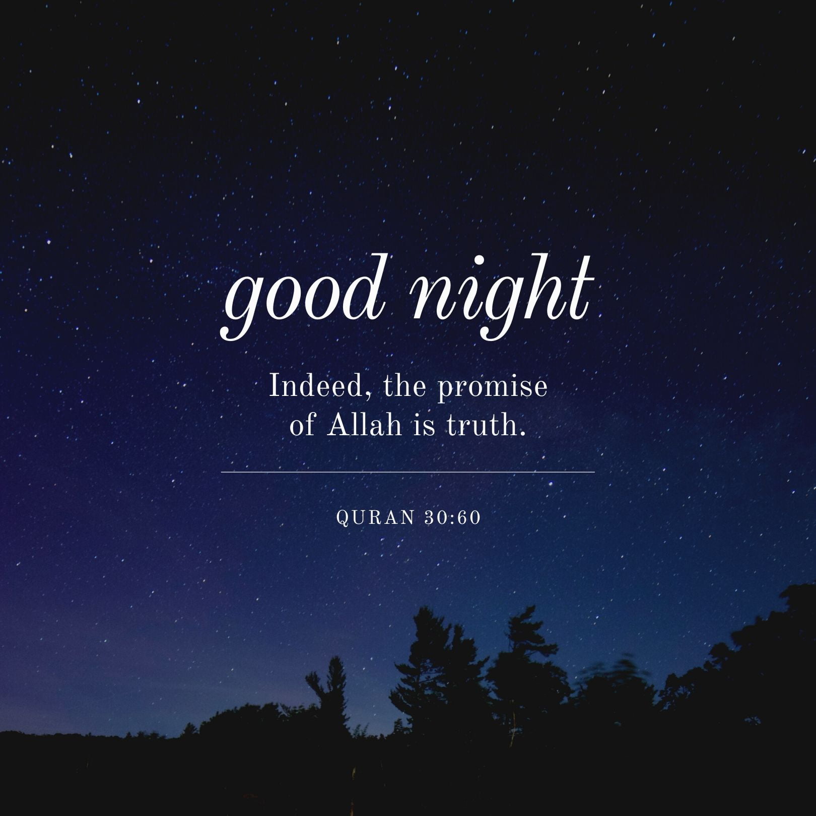 Good Night Indeed, The Promise of Allah I s Truth