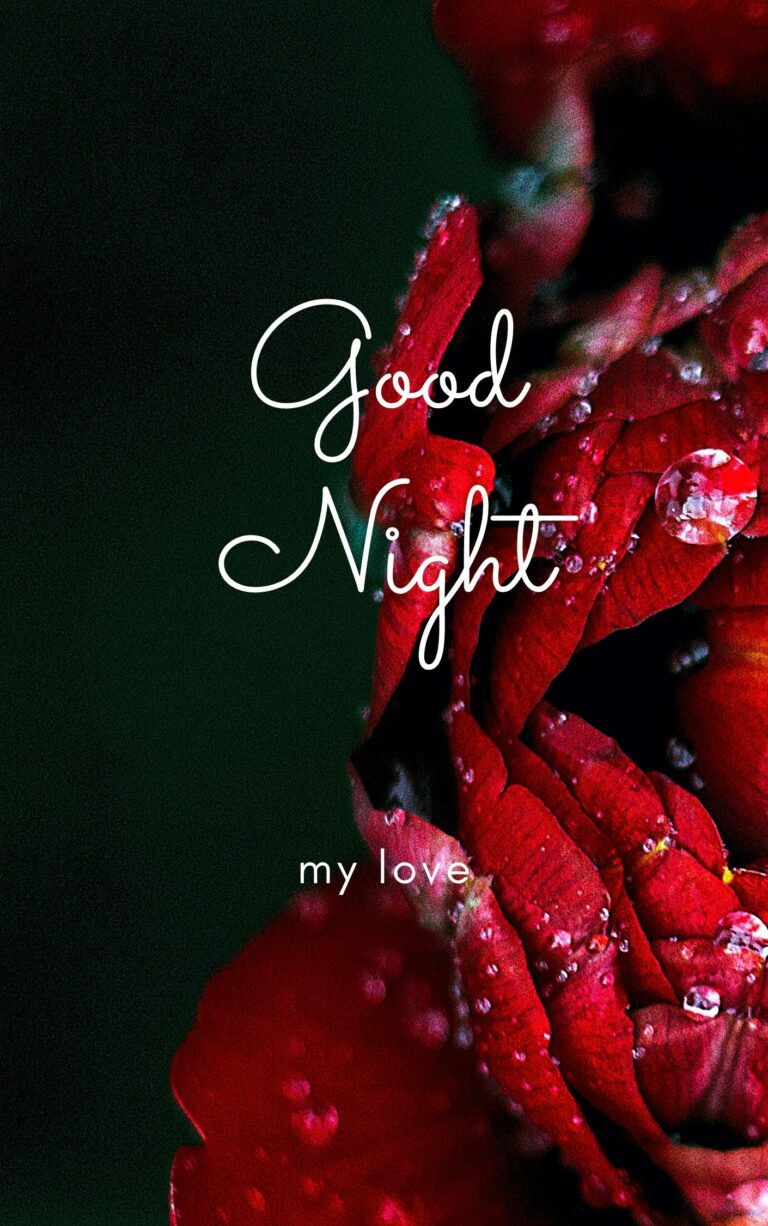 Good Night My Love Pic full HD free download.