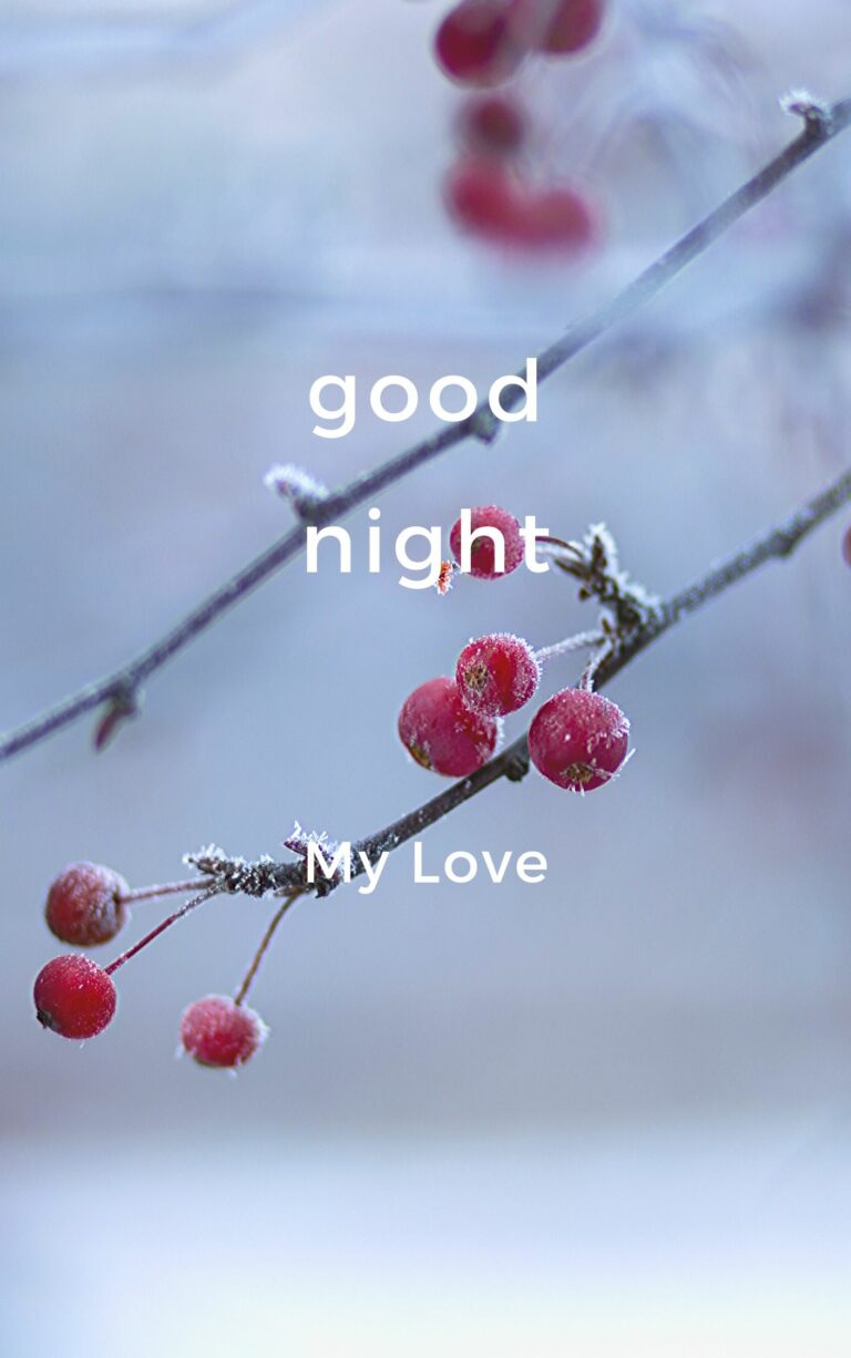 Good Night My Love pic hd full HD free download.