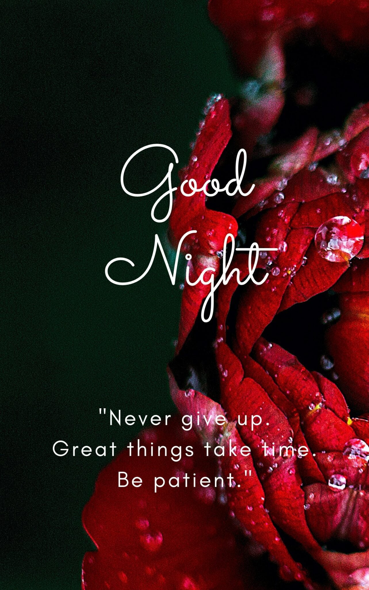 Good Night Quote Pic Never give up. Great things take time. Be patient