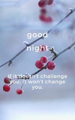 Good Night Quote pic If it doesn’t challenge you, it won’t change you