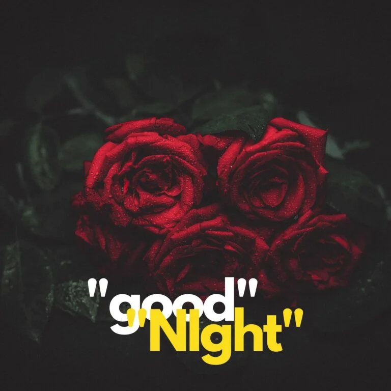 Good Night Rose full HD free download.