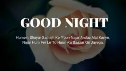 Good Night Shayari Image Hd