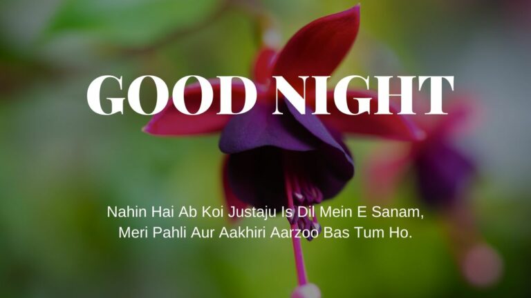 Good Night Shayari In hindi image full HD free download.