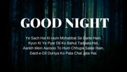 Good Night Shayari Pic download