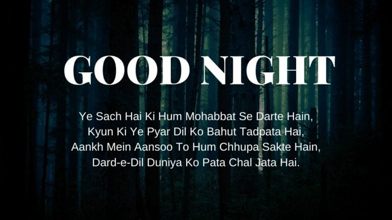 Good Night Shayari Pic download full HD free download.