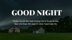 Good Night Shayari image free download