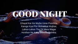 Good Night Shayari pic hd
