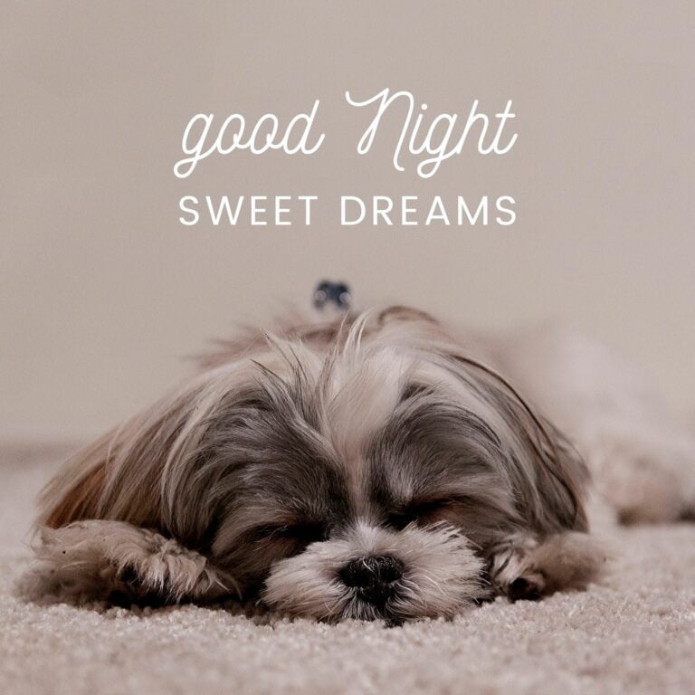 Good Night Sweet Dreams Images full HD free download.