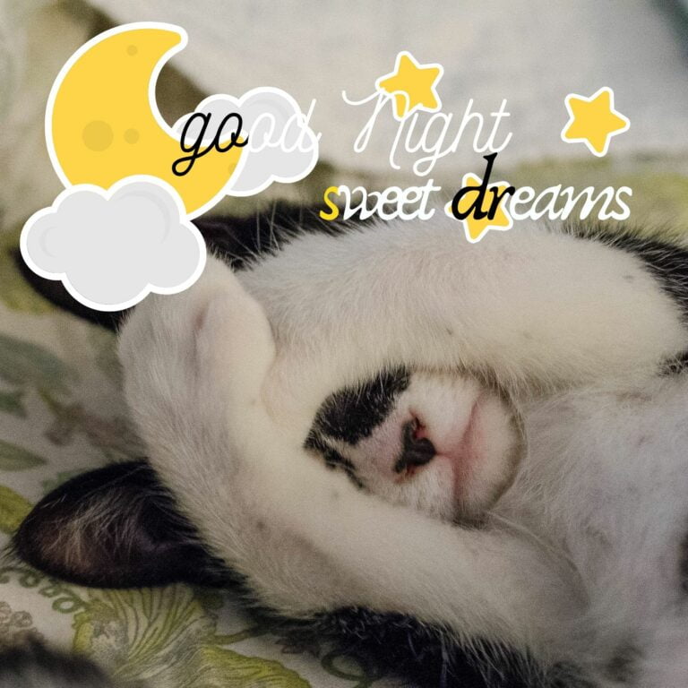 Good Night Sweet Dreams images hd full HD free download.