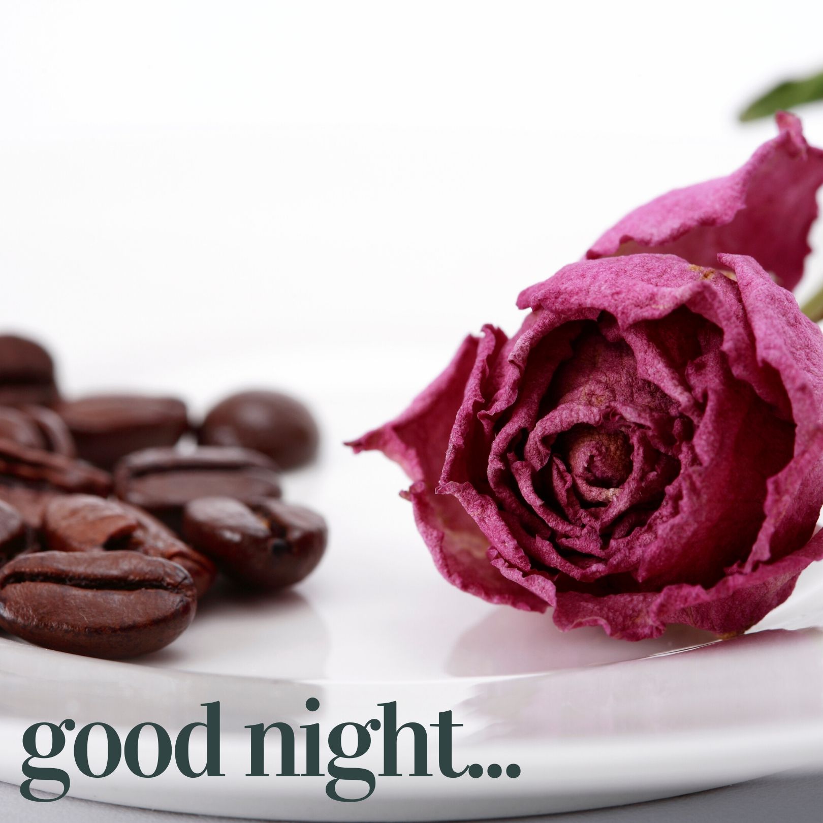 🔥 Good Night pic Download free - Images SRkh