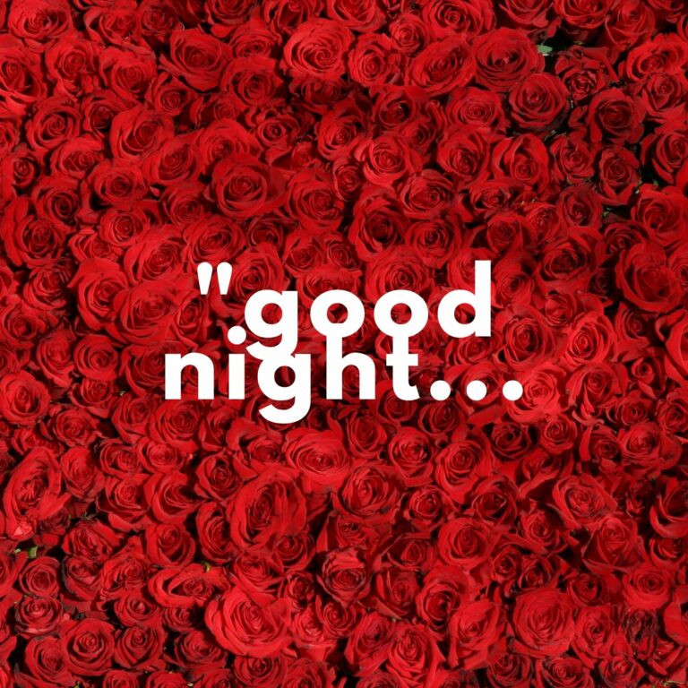 Good Night rose photo hd full HD free download.
