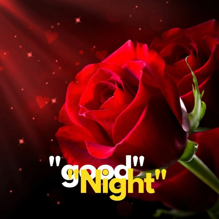 Good Night rose pic hd full HD free download.