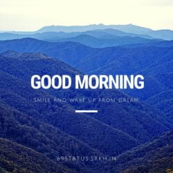 Good morning Blue Mountains Image