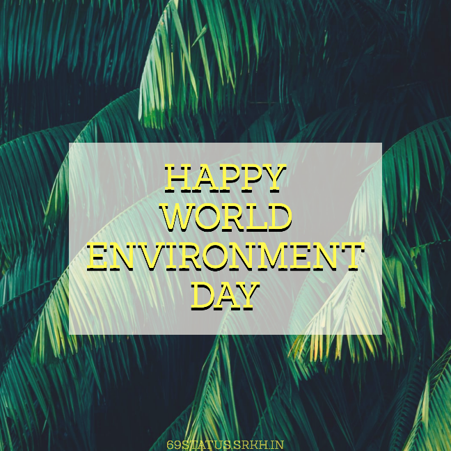 Happy World Environment Day Images full HD free download.