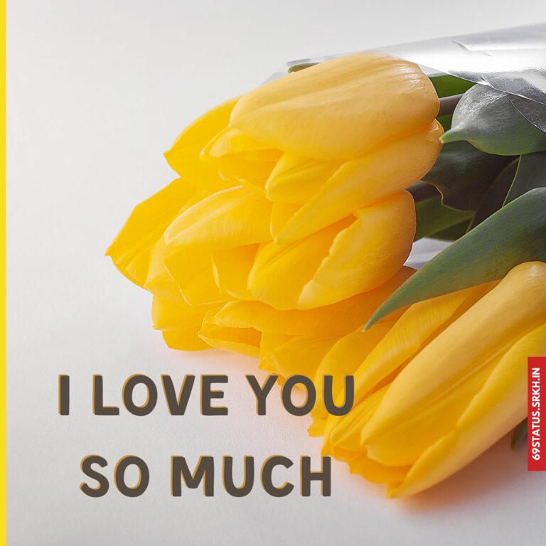 How much I Love You images full HD free download.