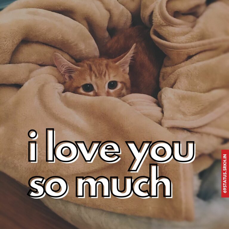I Love You cute images full HD free download.