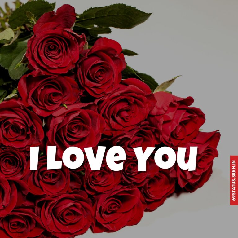 I Love You flowers images full HD free download.
