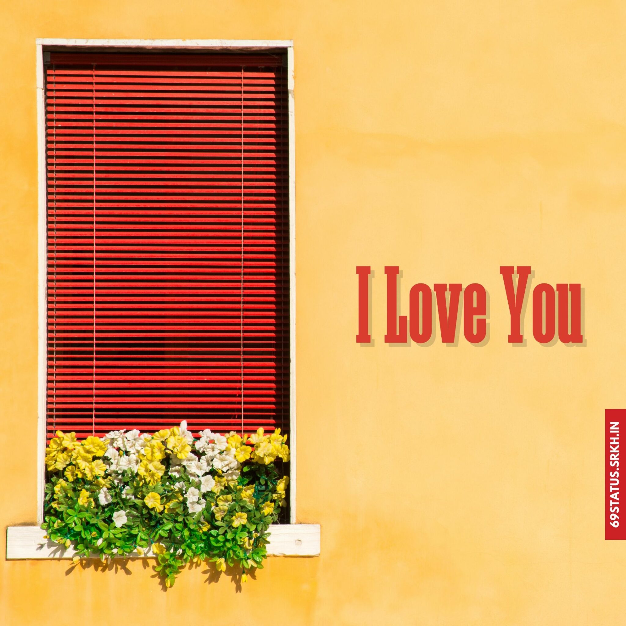 I Love You flowers images hd
