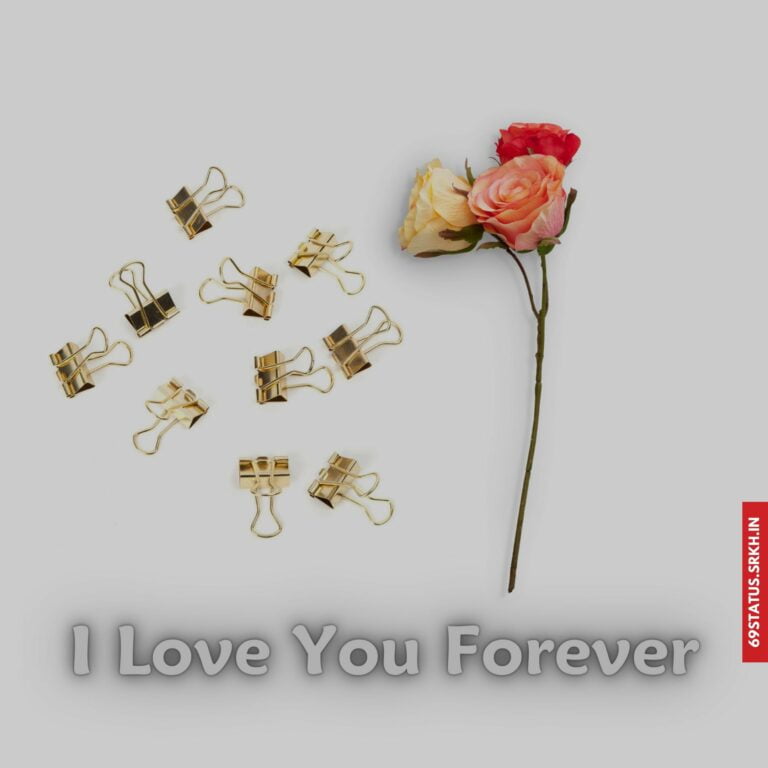 I Love You forever images full HD free download.