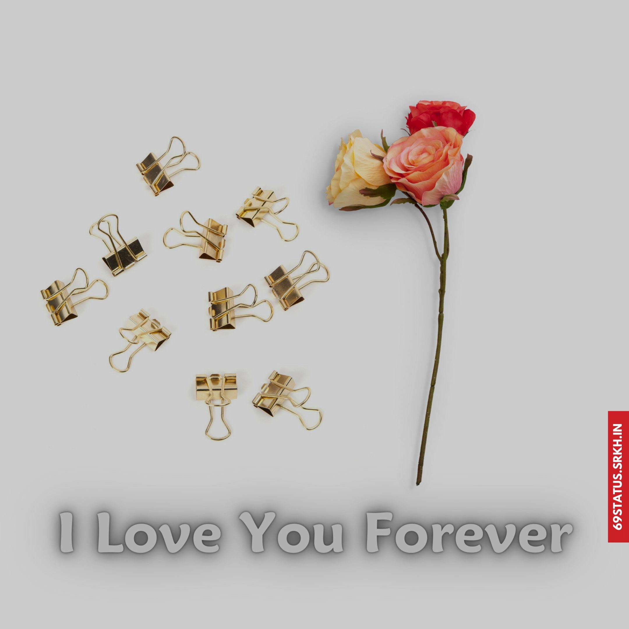 🔥 I Love You forever images Download free - Images SRkh