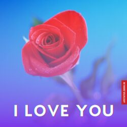 I Love You images download hd