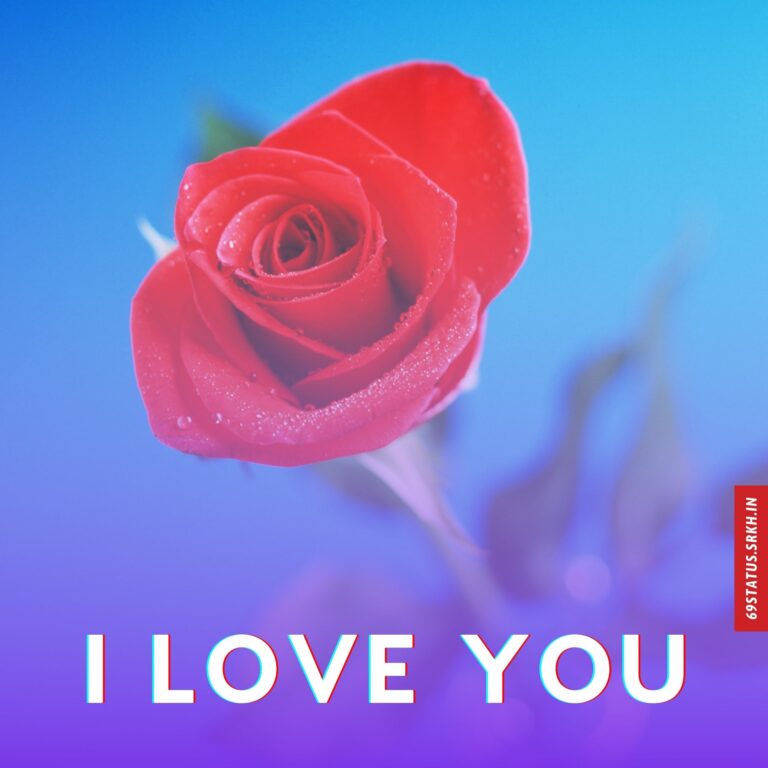 I Love You images download hd full HD free download.