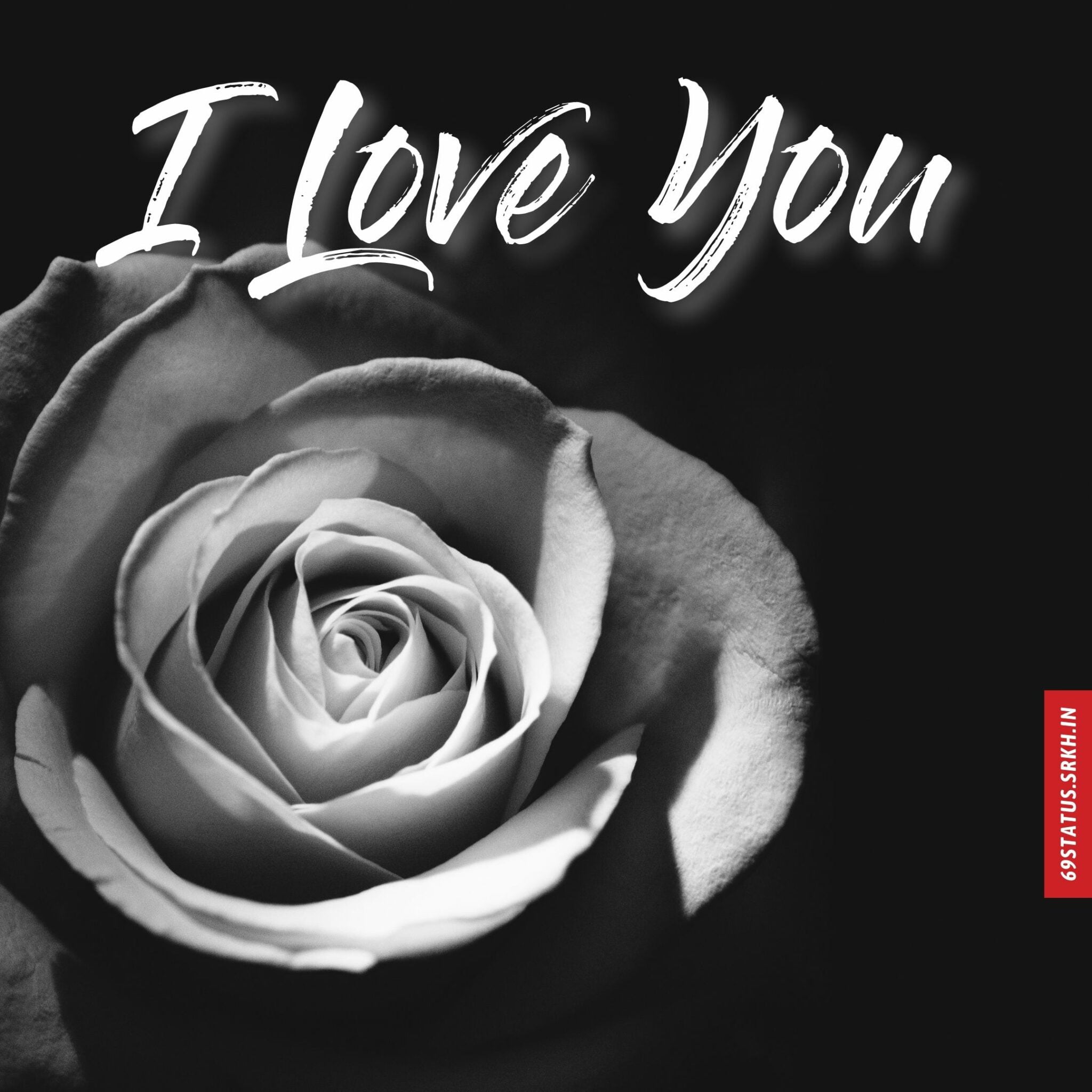 🔥 I Love You s images Download free - Images SRkh