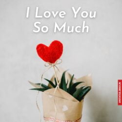 I Love You so much images for him hd