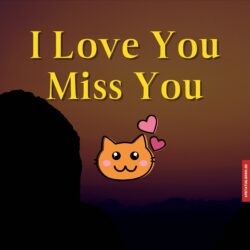 I love you miss you images