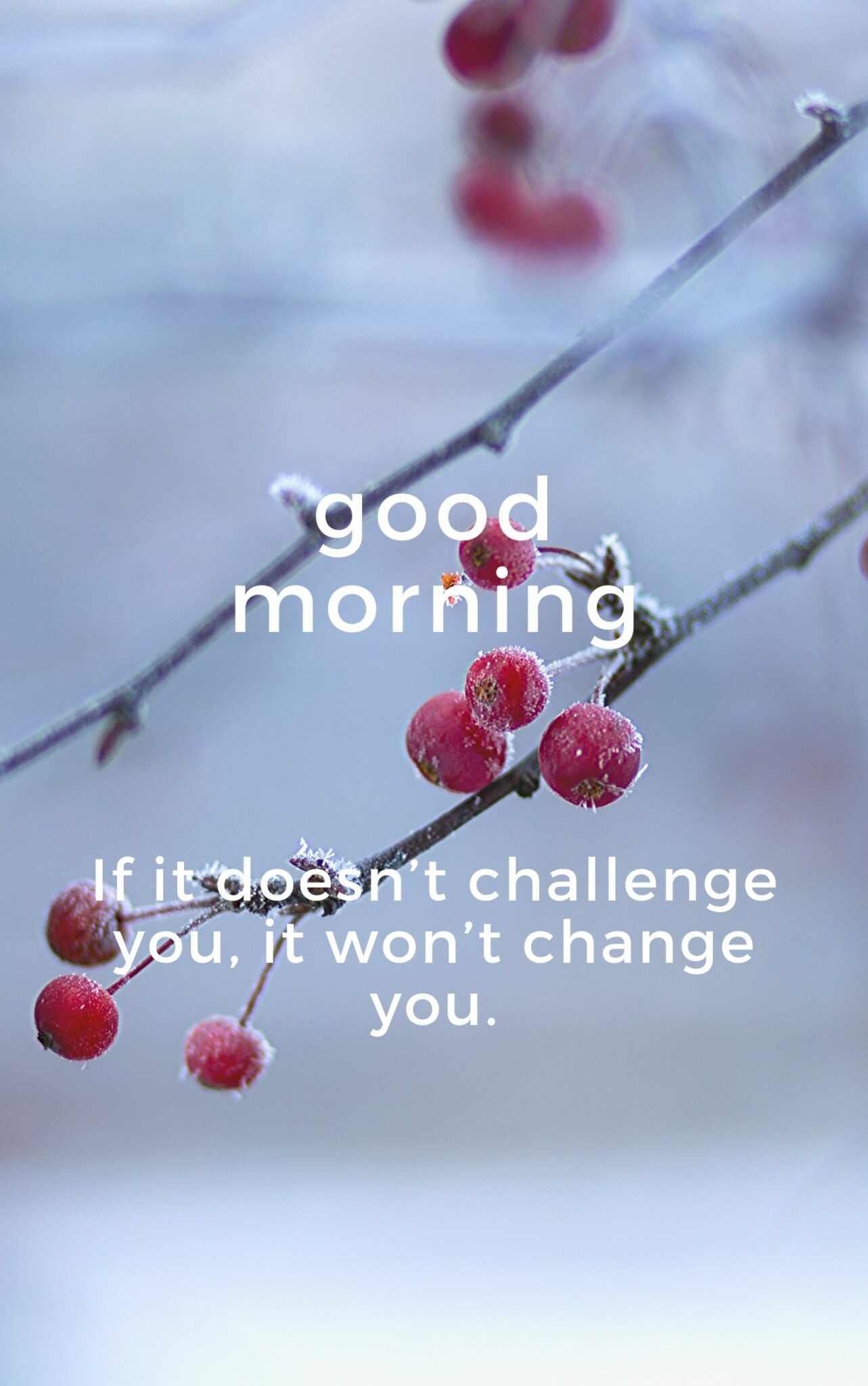 If it doesn’t challenge you, it won’t change you. Good Morning Wishes