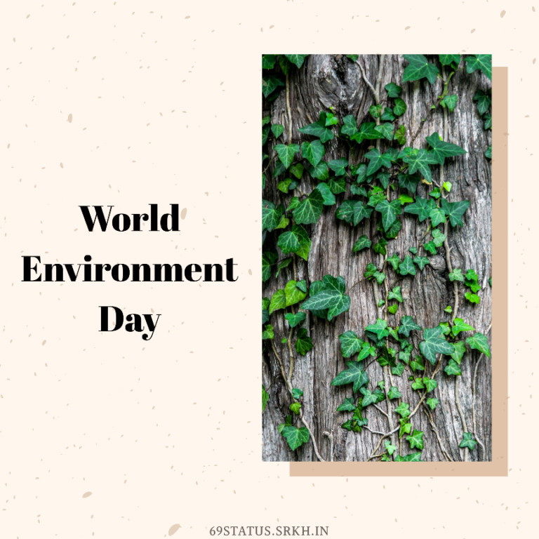 Image for World Environment Day full HD free download.