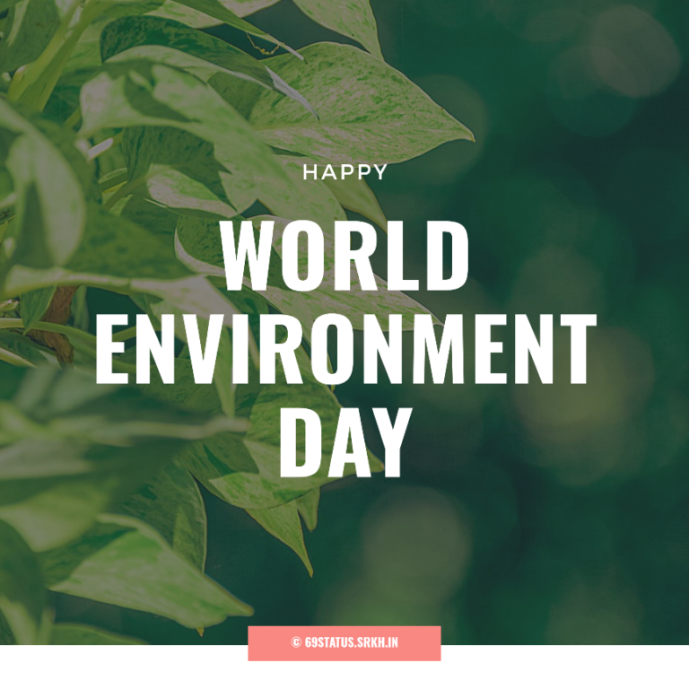 Image of World Environment Day full HD free download.