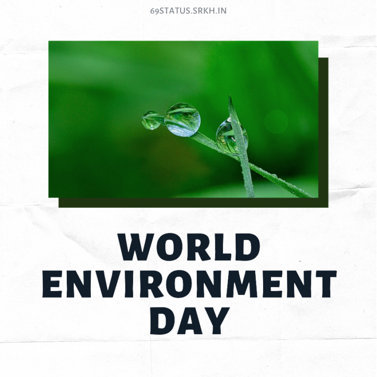 Image of World Environment Day HD full HD free download.