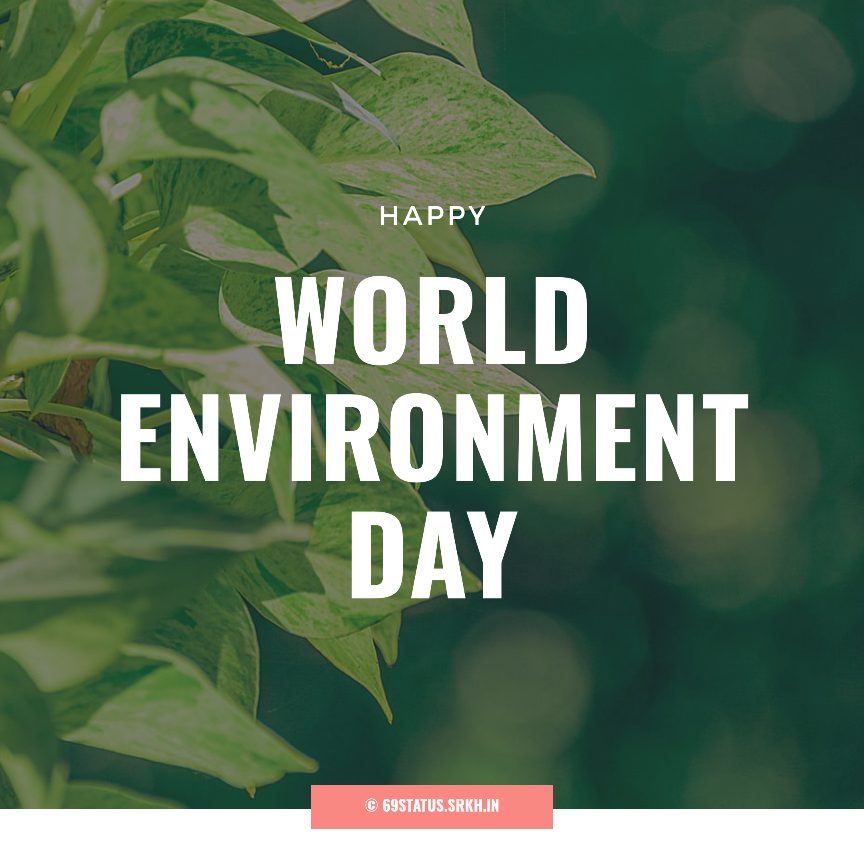 Image of World Environment Day