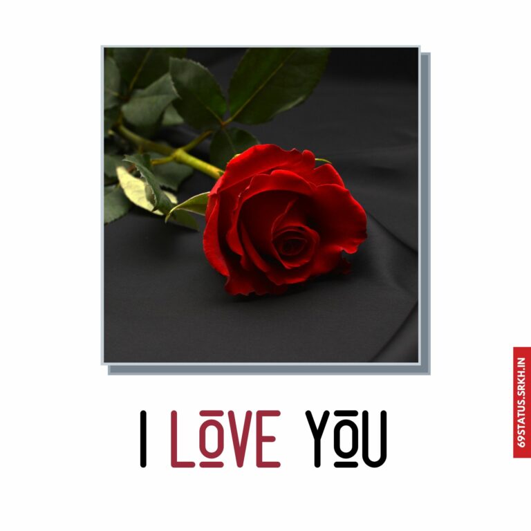 Images I Love You full HD free download.