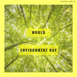 Images Of World Environment Day HD