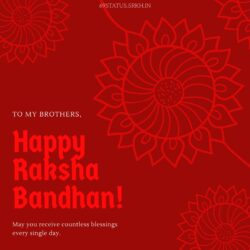 Images Related to Raksha Bandhan